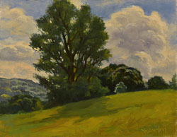 Elm 12x16 Elm-12x16.jpg