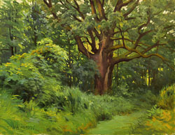 Oak 12x16 Oak-12x16.jpg